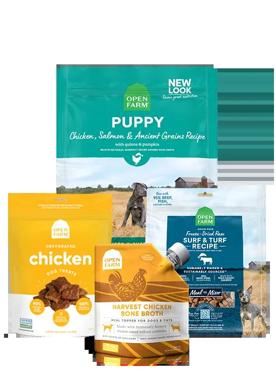 Open Farm Ancient Grains Puppy Pack