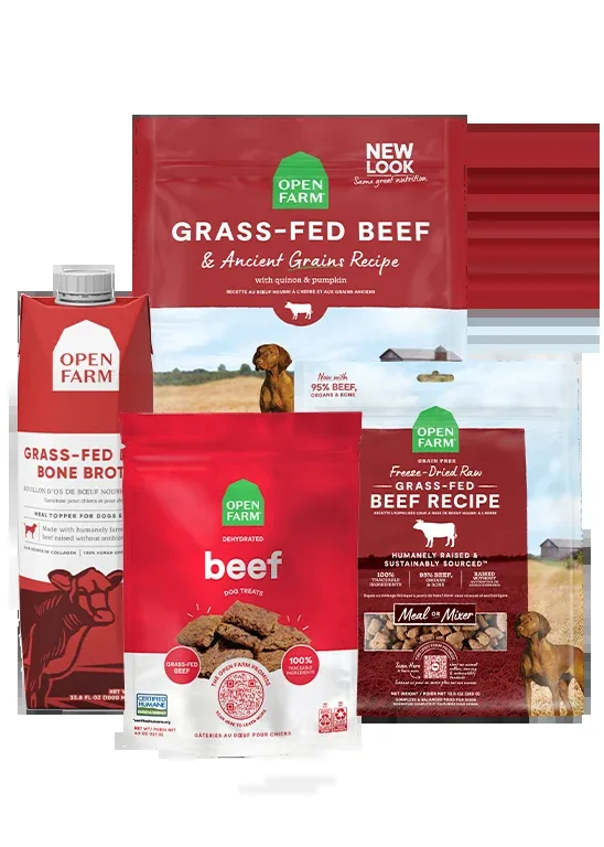 Open Farm Grass-Fed Goodness Bundle
